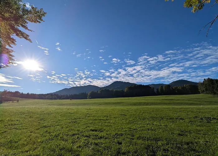 Geigerhof * 巴德黑布恩